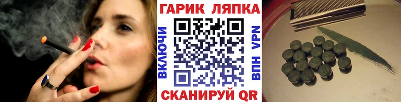 ГАШ Изолятор  Оса 
