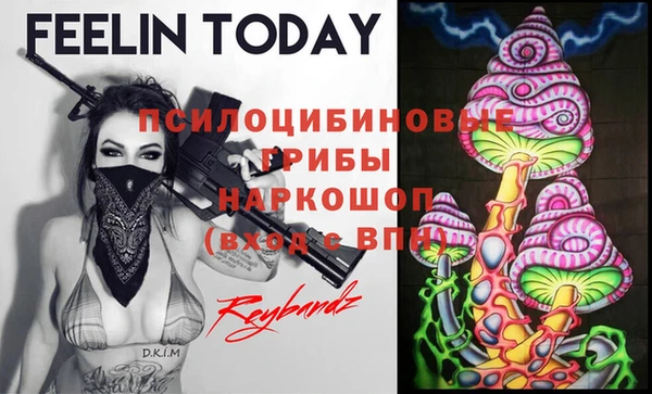 прущий лед Надым