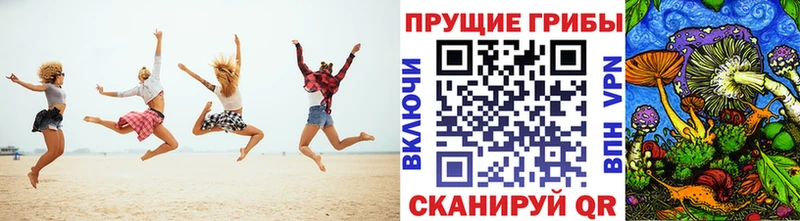 Псилоцибиновые грибы Psilocybe Оса